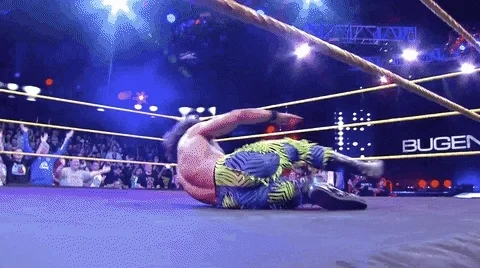   music sports sport wwe GIF