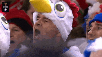 france chicken GIF by Guinness Six Nations