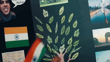 indian flag GIF by Marshmello