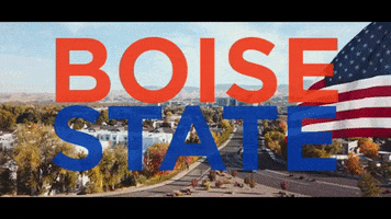 bleed blue boise state GIF