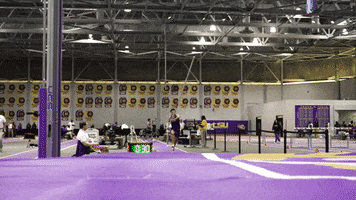 High Jump Gold GIF by LSU Tigers