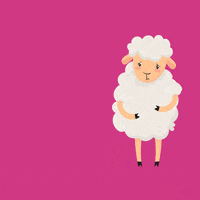 skin sheep GIF by PETA