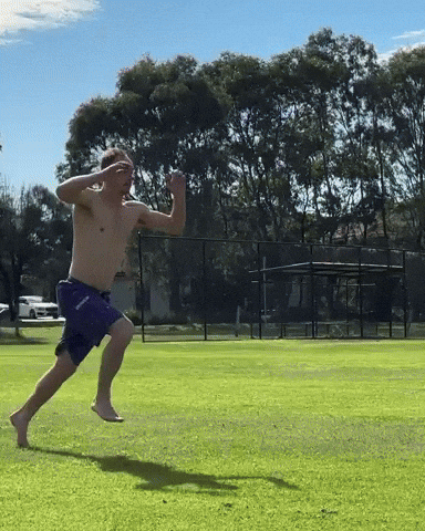 Happy Cheer GIF