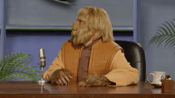 Reaction GIF