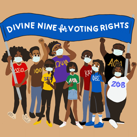 Voting Rights Banner GIF by INTO ACTION