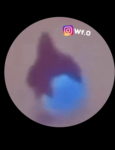 Wf0 GIF
