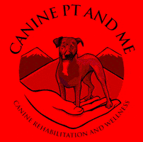 Ccl Tear In Dogs GIF