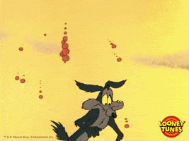 sad wile e coyote GIF by Looney Tunes