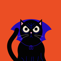 Mad Black Cat GIF by Lucy Woodworth Design