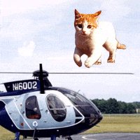 Cat Helicopter GIFs - Find & Share on GIPHY