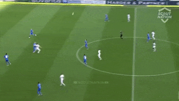 jovic GIF by nss sports