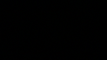 Text GIF by leeamerica