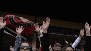 fans flag GIF by Atlanta United