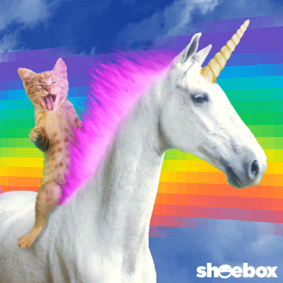 Cat-lightning GIFs - Get the best GIF on GIPHY