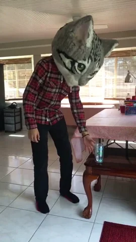 giphy.webp