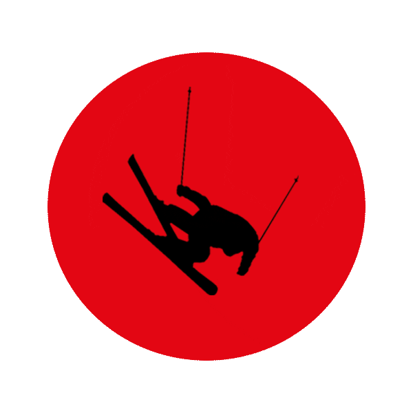 Fire Ski Sticker by Bogner