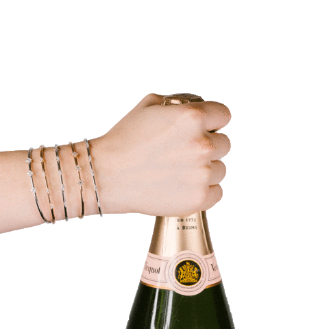 Celebrate New Years Sticker by Dana Rebecca Designs