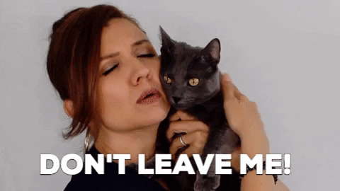 GIF uploaded by Samantha