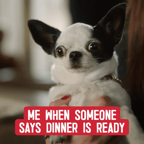 Dinner Eat GIF by Barilla