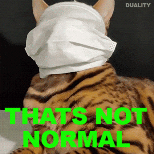 GIF of a cat wearing a mask saying that's not normal.