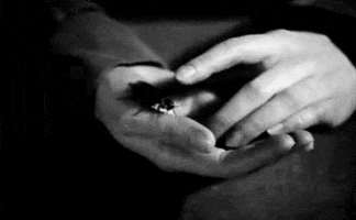joan crawford bug GIF by Maudit