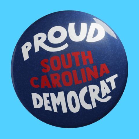 Vote Early South Carolina GIF by Creative Courage