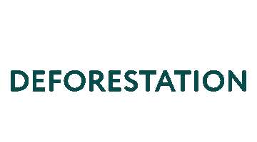 Go Forest Sticker