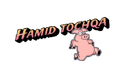 Hamid Tochqa Sticker