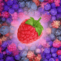 Rasberries Gifs Get The Best Gif On Giphy