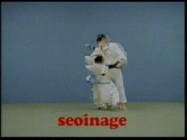 Highlight Judo GIF