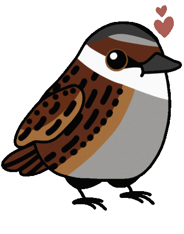 Bird Vogel Sticker