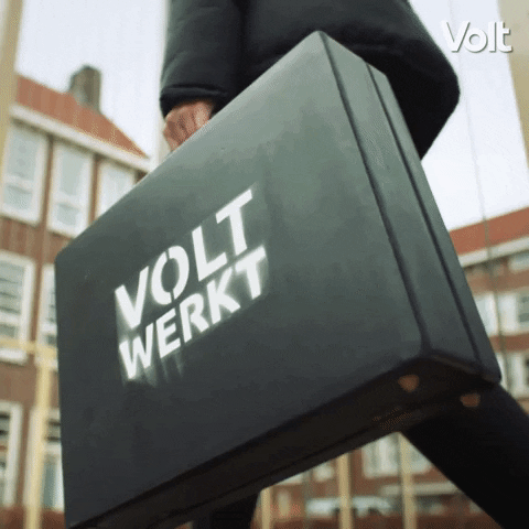 Werken Verkiezingen GIF by VoltNL