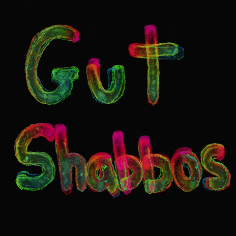 Gut-shabbos GIFs - Get the best GIF on GIPHY