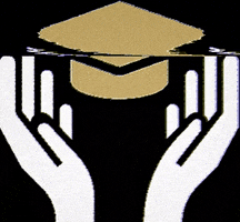 Majdas Touch Insurance GIF