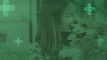 GIF by Agência Limão Criativo