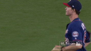 Astros' Martin Maldonado uses illegal bat in World Series courtesy