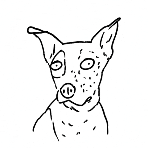 Shocked Dog GIF by butpoorlydrawn