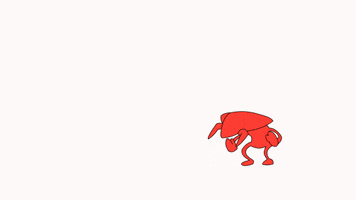 Scared GIF