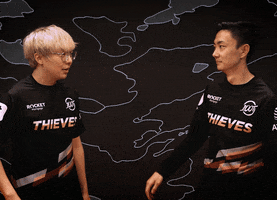 High Five Video Games GIF by 100 Thieves