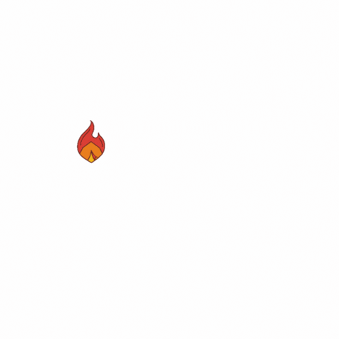 GIF by Exoticamp