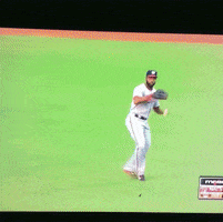 baseball mlb GIF
