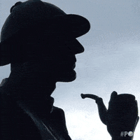 detective dianne GIF by GoPop