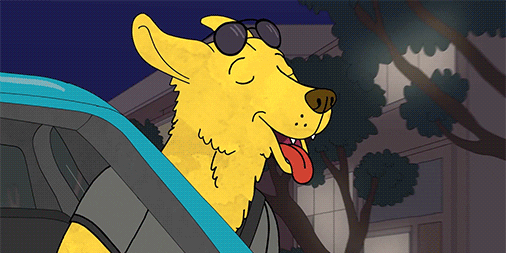 Image result for mr peanutbutter gif