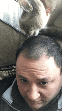 solution to balding