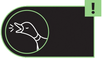 Duck Club Sticker by Duck Club Presents