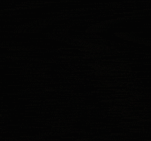Dog GIF