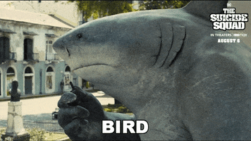 King Shark Bird GIF by The Suicide Squad