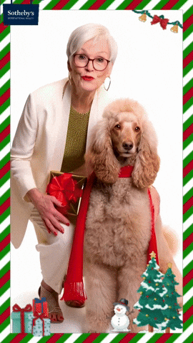 Standard Poodle Christmas GIF by LIFE on the Monterey Bay