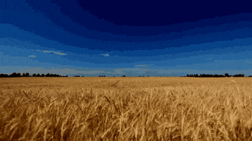Genesis Group GIF