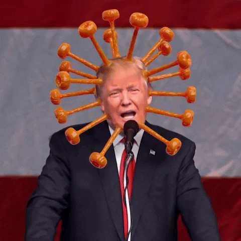 Trump GIF